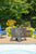 Napa East New Leaf Fire Pit
