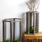 Set of Two Wood and Glass Terrariums
