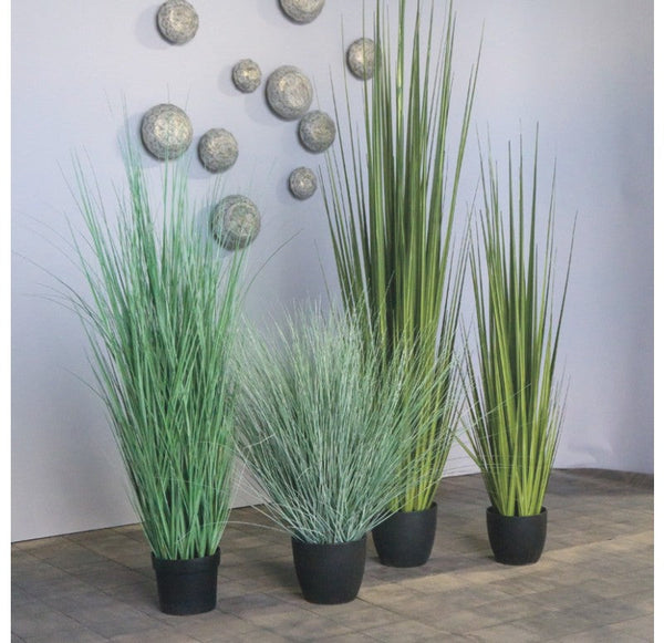 Grass, Potted Bear, 45