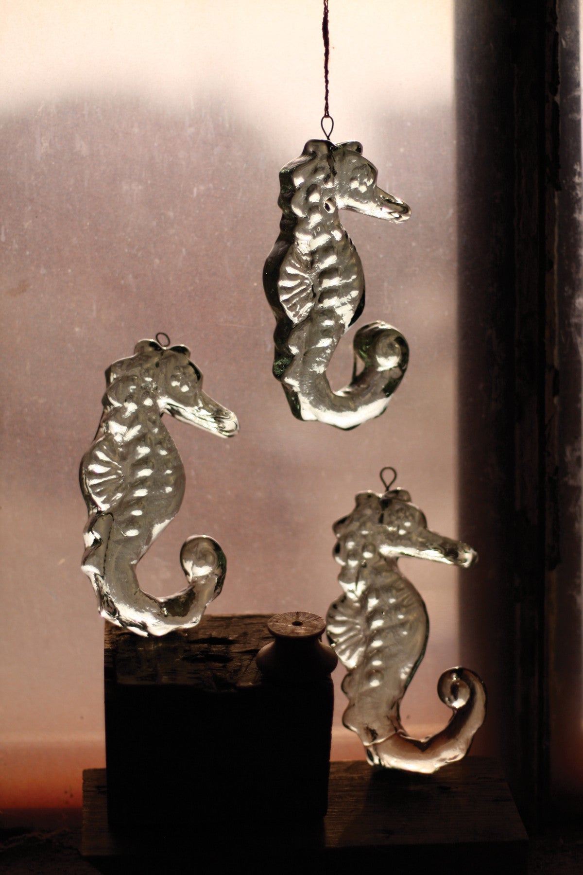 Kalalou Glass Seahorse Ornament (Min 4) | Modishstore | Holiday