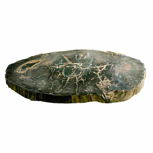 Large Petrified Wood Slab Coffee Table PF-1042 by AIRE Furniture