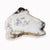 Petrified Wood Slab- 12