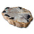 PF-1107 Petrified Wood Slab With Custom Made Base by AIRE Furniture