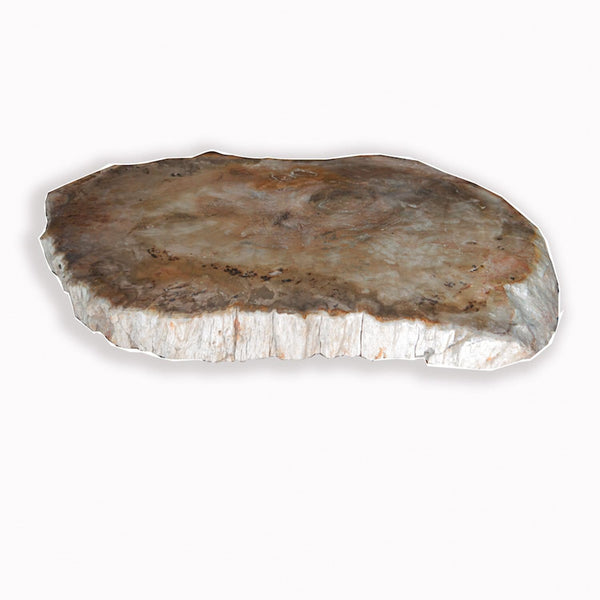 PF-1110 Petrified Wood Slab With Custom Made Base by AIRE Furniture