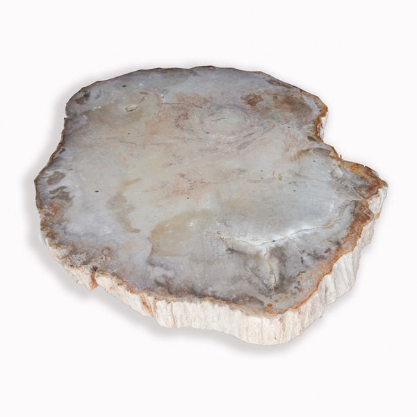 PF-1111 Petrified wood slab with custom made base by AIRE Furniture
