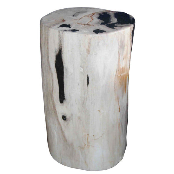 Petrified Wood Log Stool PF-2052 by AIRE Furniture