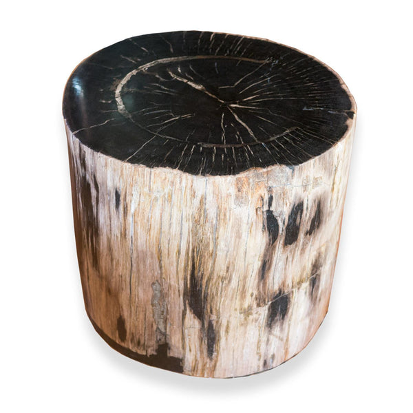 Petrified Wood Stool PF-2070 (1 of 2) by AIRE Furniture