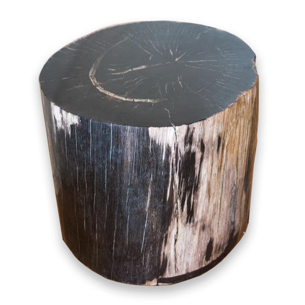 Petrified Wood Stool PF-2070 (1 of 2) by AIRE Furniture