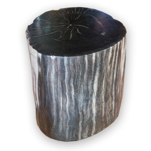 Petrified Wood Stool PF-2071 (2 of 2) by Aire Furniture