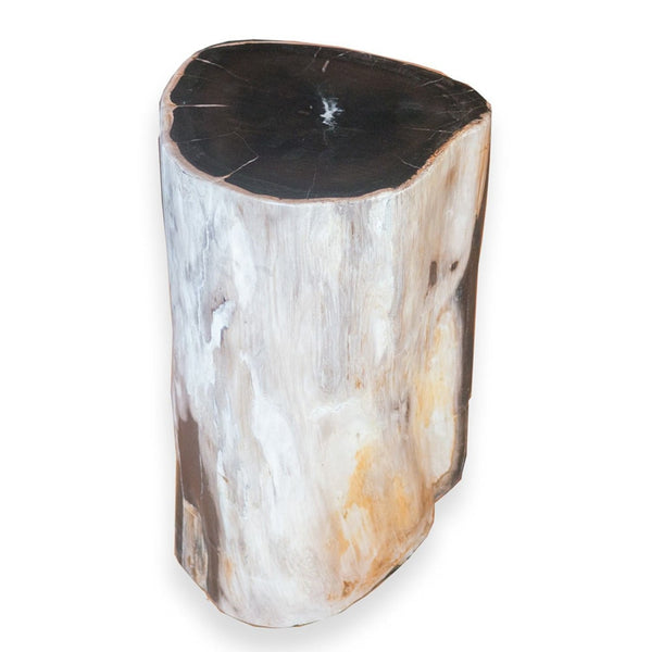 Petrified Wood Stool PF-2072 by Aire Furniture