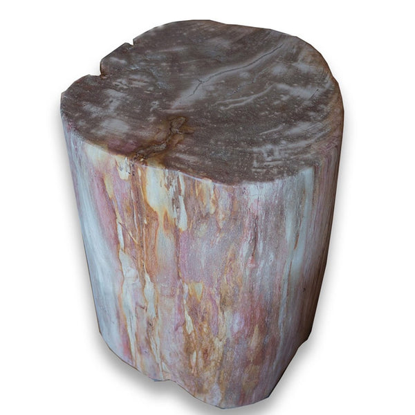 Petrified Wood Stool PF-2073 by Aire Furniture