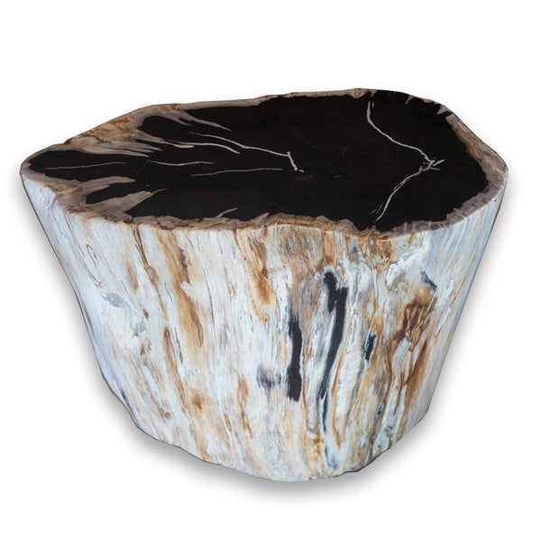 Petrified Wood Stool PF-2075 (2 of 2) by Aire Furniture