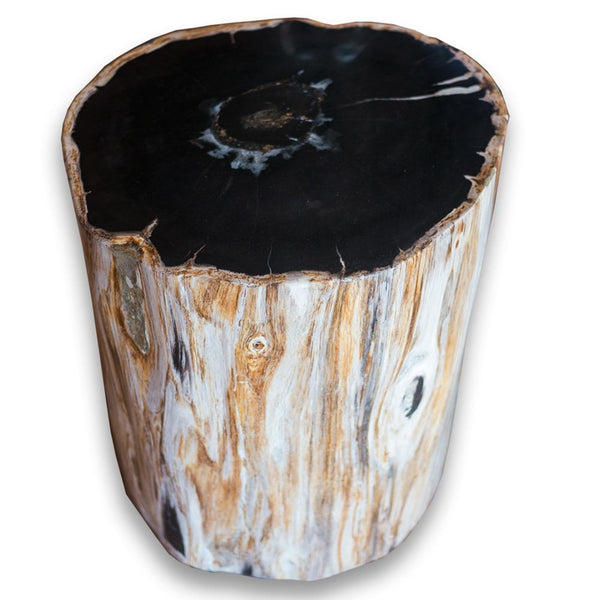 Petrified Wood Stool PF-2078 by Aire Furniture