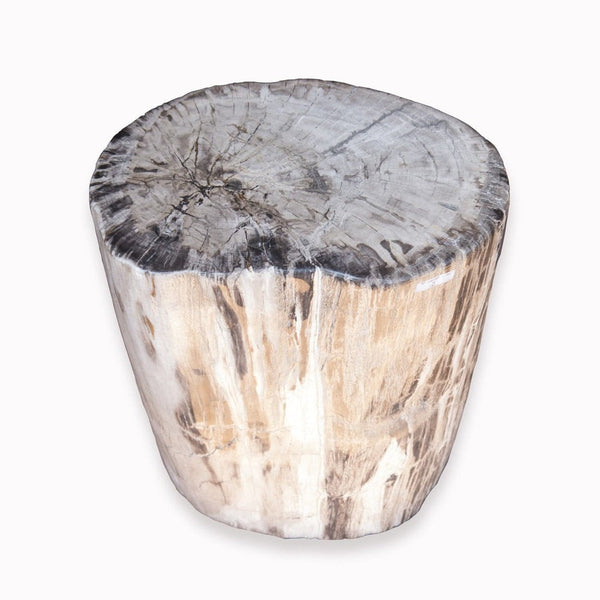 Petrified Wood Stool PF-2080 by Aire Furniture