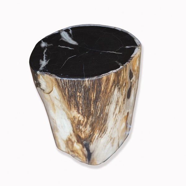 Petrified Wood Stool PF-2081 by Aire Furniture
