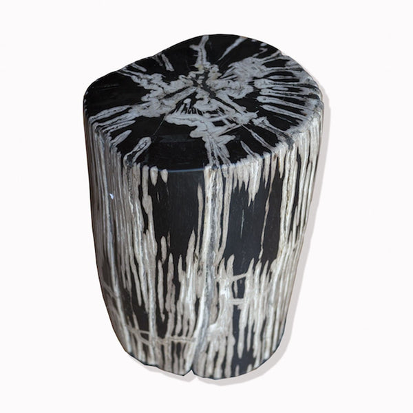 PF-2083 Petrified Wood Stool by AIRE Furniture