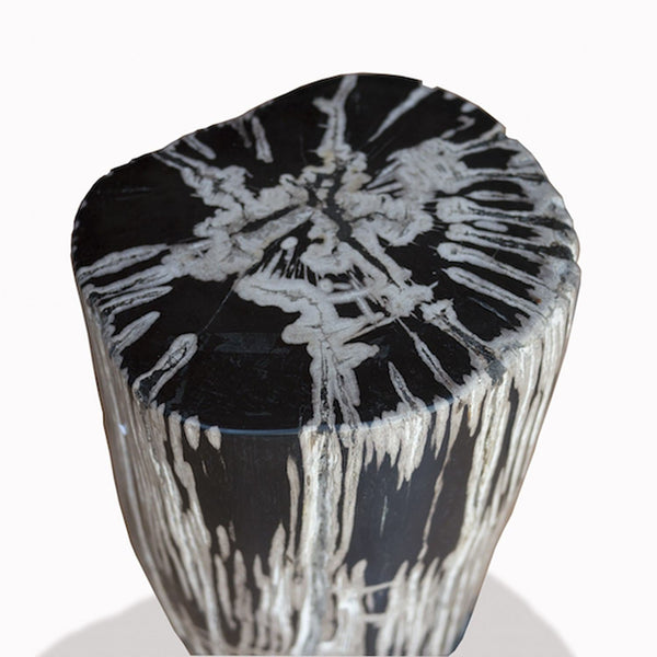 PF-2083 Petrified Wood Stool by AIRE Furniture