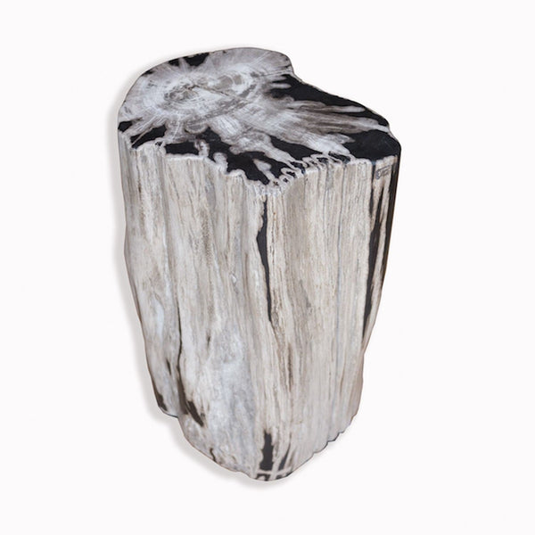 PF-2084 Petrified Wood Stool by AIRE Furniture