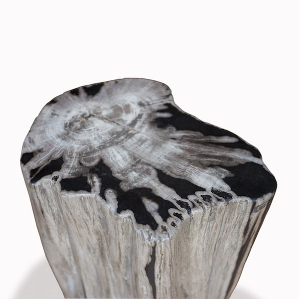 PF-2084 Petrified Wood Stool by AIRE Furniture
