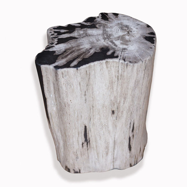 PF-2084 Petrified Wood Stool by AIRE Furniture