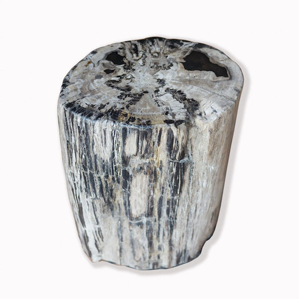 Petrified Wood Stool PF-2087 by Aire Furniture