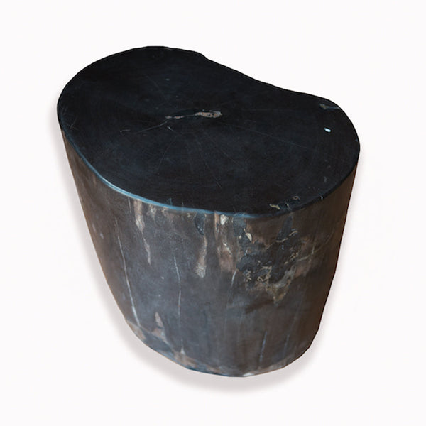 Petrified Wood Stool PF-2093 by Aire Furniture
