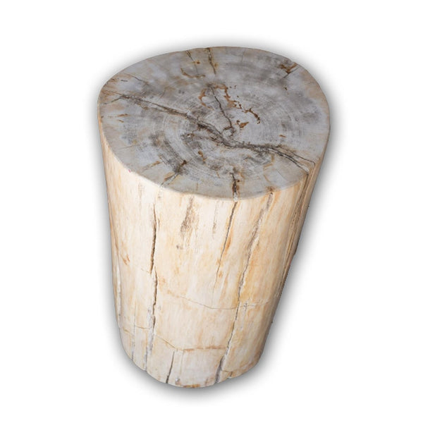 Petrified Wood Stool PF-2095 by Aire Furniture