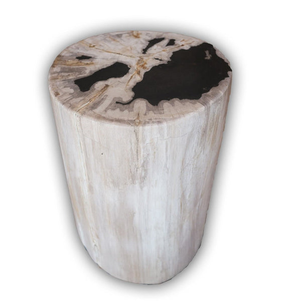 Petrified Wood Log Stool PF-2097 by Aire Furniture