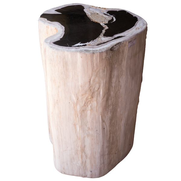Petrified Wood Log Stool PF-2098 by Aire Furniture