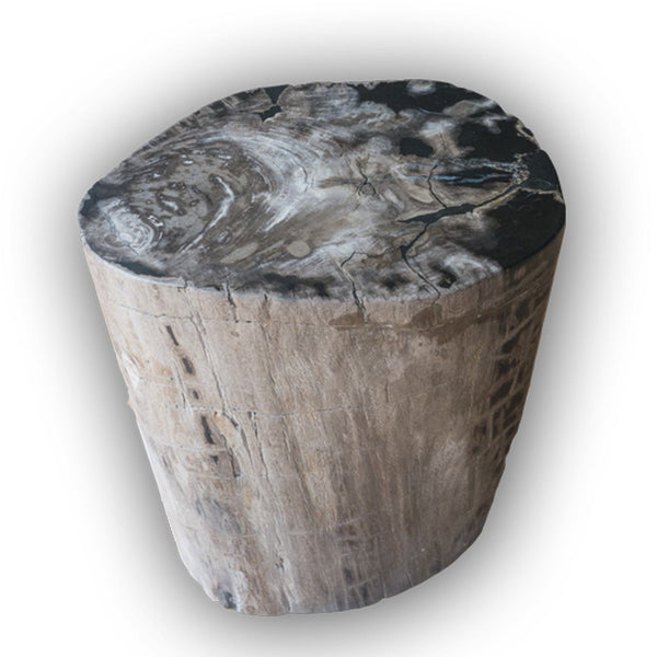 Petrified Wood Log Stool PF-2101 by AIRE Furniture
