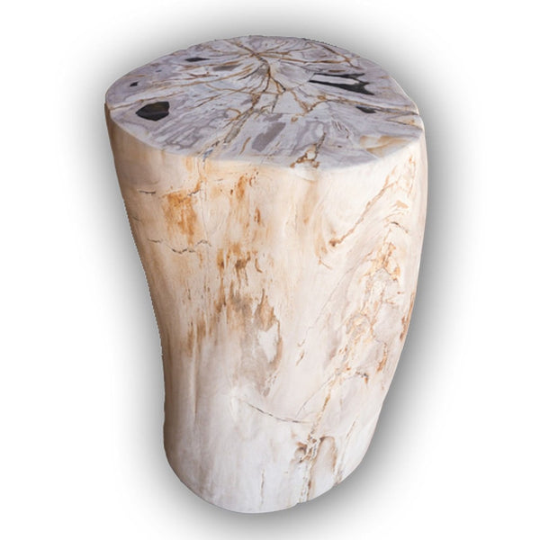 Petrified Wood Log Stool PF-2106 by Aire Furniture