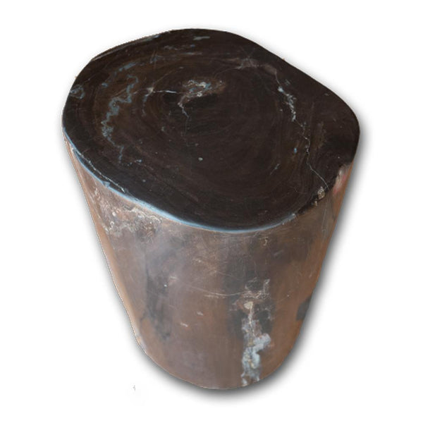 Petrified Wood Log Stool PF-2107 by Aire Furniture