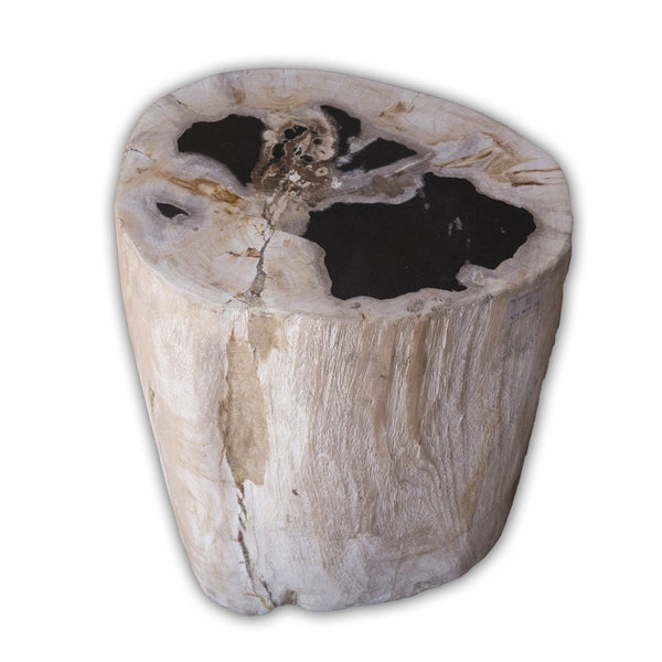 Petrified Wood Log Stool PF-2108 by Aire Furniture