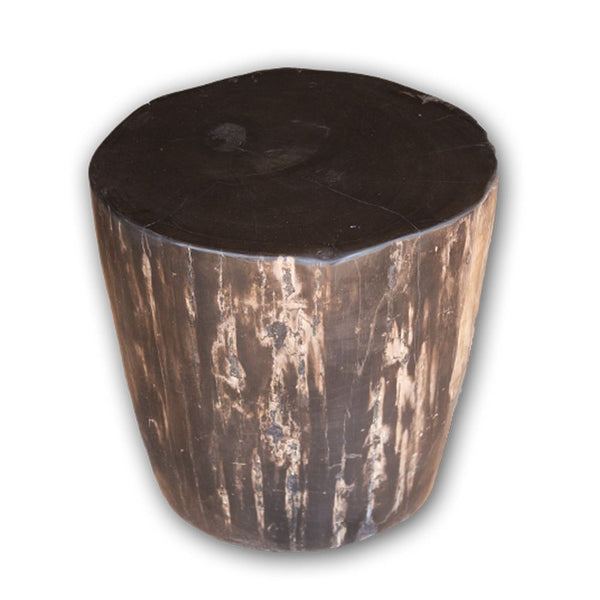 Petrified Wood Log Stool PF-2123 by Aire Furniture