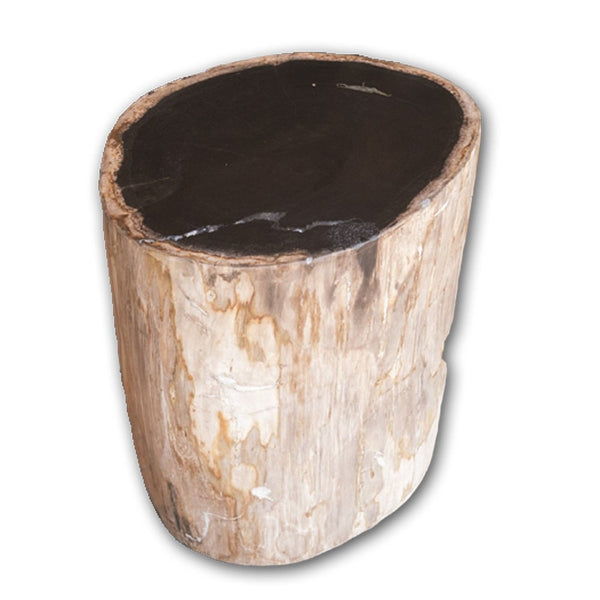 Petrified Wood Log Stool PF-2126 by Aire Furniture