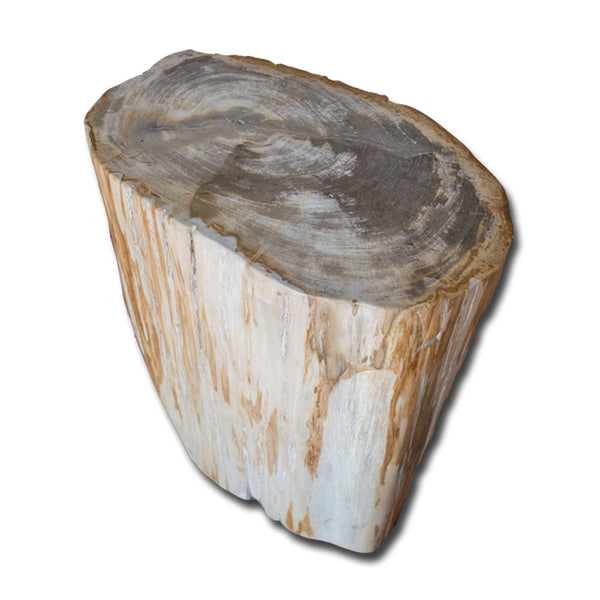 Petrified Wood Stool PF-2139 by Aire Furniture