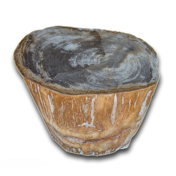 Petrified Wood Stool PF-2139 by Aire Furniture