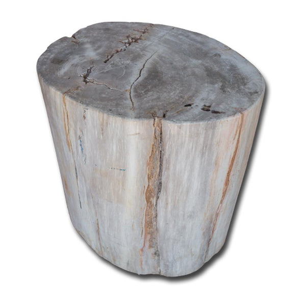Petrified Wood Stool PF-2142 by Aire Furniture