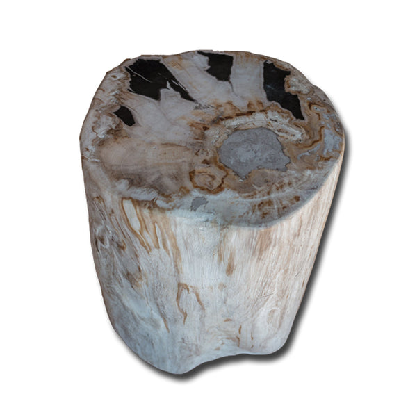 Petrified Wood Stool PF-2152 by Aire Furniture