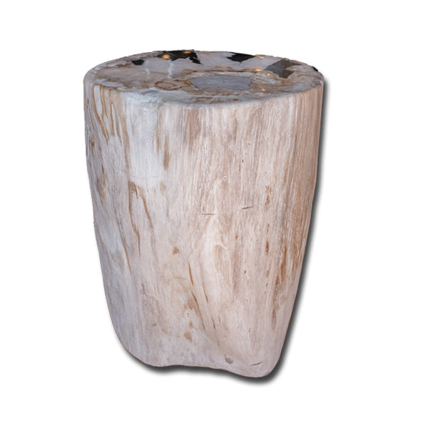 Petrified Wood Stool PF-2152 by Aire Furniture