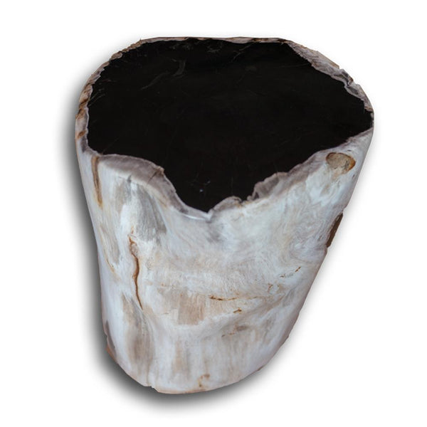 Petrified Wood Stool PF-2160 by Aire Furniture