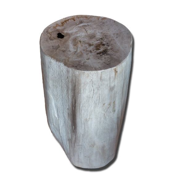 Petrified Wood Stool PF-2163 by Aire Furniture