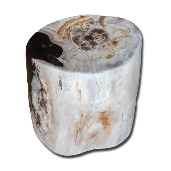 Petrified Wood Stool PF-2164 by Aire Furniture