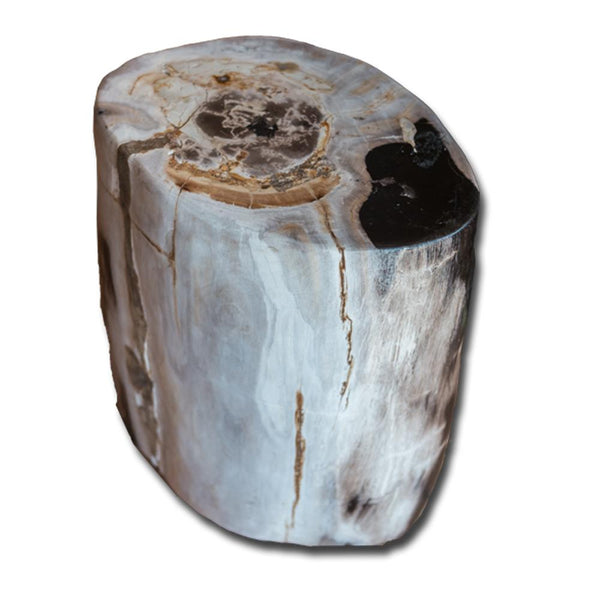 Petrified Wood Stool PF-2164 by Aire Furniture