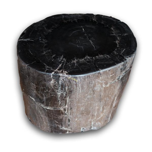 Petrified Wood Stool PF-2167 by Aire Furniture
