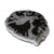 Petrified Wood Slab- 20