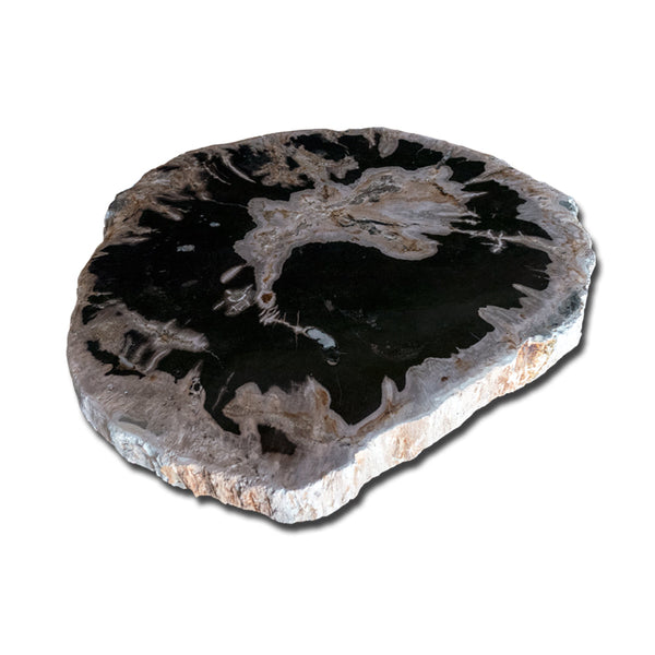 Petrified Wood Slab With Custom Made Base PF-1118  by Aire Furniture