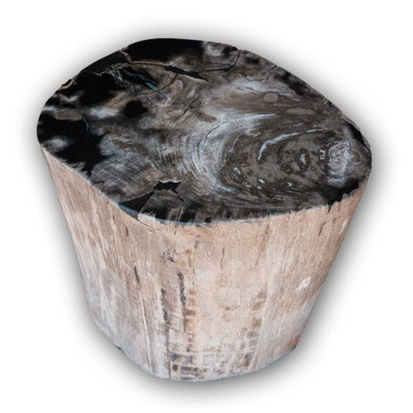 Petrified Wood Log Stool PF-2101 by Aire Furniture