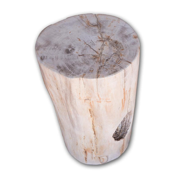 Petrified Wood Log Stool PF-2105 by Aire Furniture