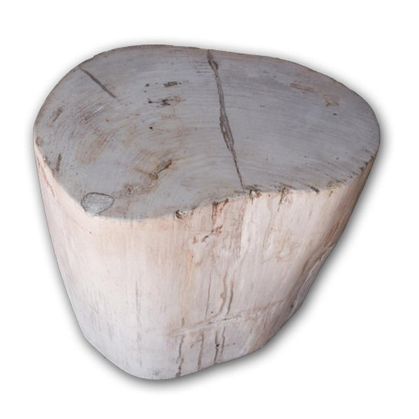 Petrified Wood Log Stool PF-2109 by Aire Furniture